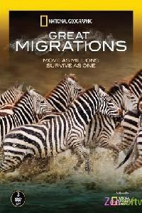 Plakat filma Great Migrations (2010).