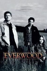 Омот за Everwood (2002).