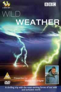 Poster for Wild Weather (2002).