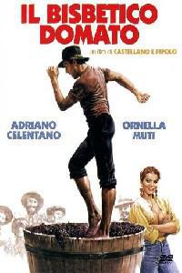 Poster for Bisbetico domato, Il (1980).