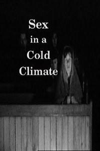 Poster for Sex in a Cold Climate (1998).