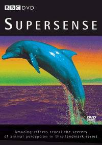 Омот за Supersense (1988).