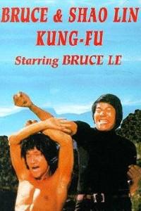 Poster for Da mo tie zhi gong (1977).