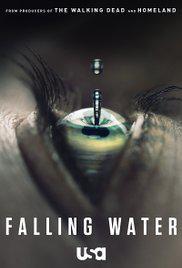 Cartaz para Falling Water (2016).