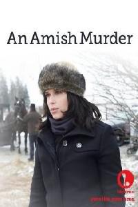 Poster for An Amish Murder (2013).