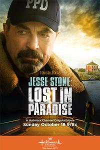 Poster for Jesse Stone: Lost in Paradise (2015).