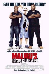 Plakát k filmu Malibu's Most Wanted (2003).