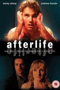 Poster for Afterlife (2005).