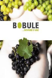 Обложка за Bobule (2008).