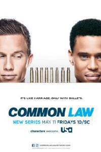 Plakát k filmu Common Law (2012).