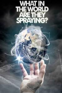 Poster for What in the World Are They Spraying? (2010).