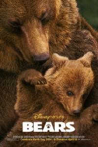 Plakat filma Bears (2014).