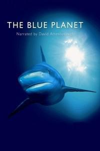 Cartaz para The Blue Planet (2001).