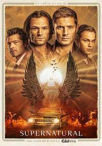 Plakát k filmu Supernatural (2005).