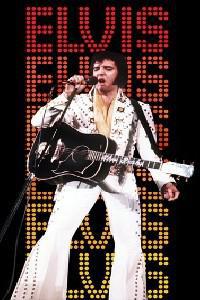 Poster for Elvis in Las Vegas (2010).