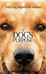Plakat A Dog's Purpose (2017).
