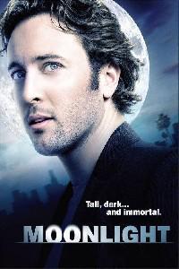 Plakát k filmu Moonlight (2007).