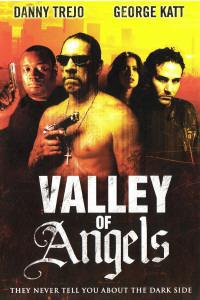 Омот за Valley of Angels (2008).