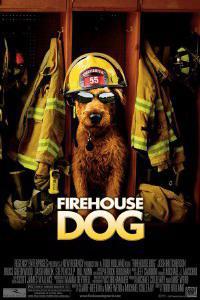 Plakát k filmu Firehouse Dog (2007).