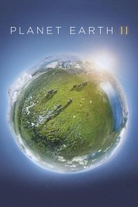 Plakat filma Planet Earth II (2016).